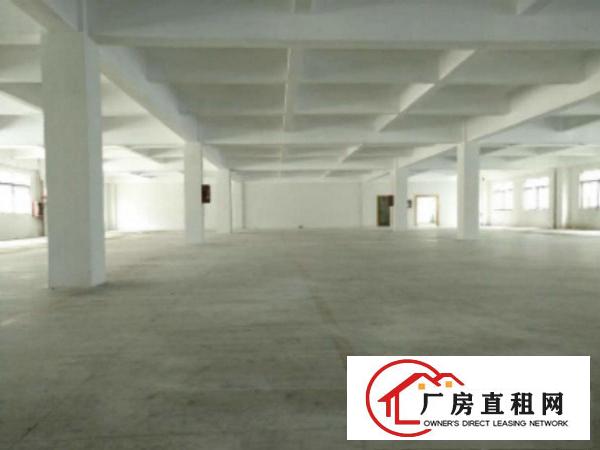  万江石美附近工业区新出标准厂房2楼1500平方出租