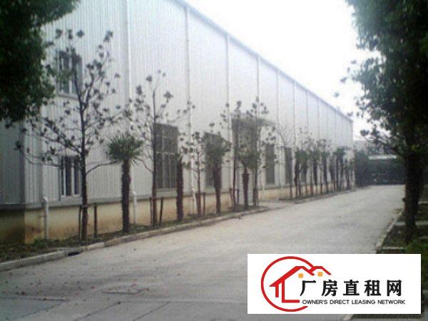  万江周边独院厂房1300或独院2300平方招租现成水电