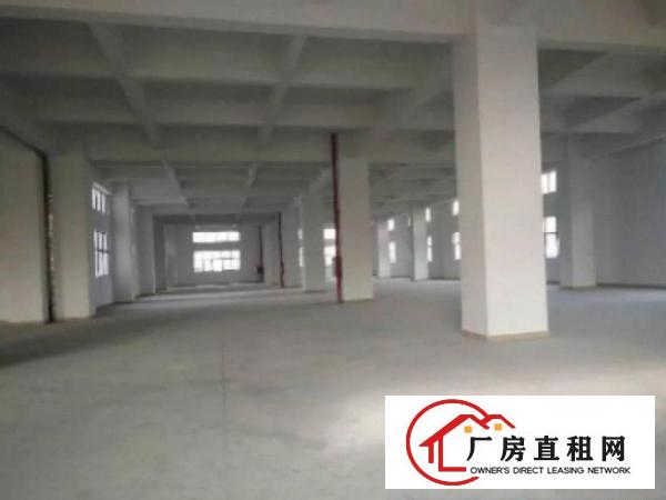  万江标准一楼厂房800或1000㎡出租水电配套齐全