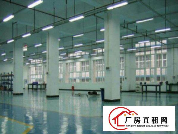  万江周边大量独院标准厂房仓库500至20000平方招租