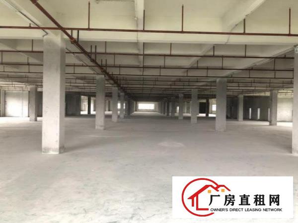  万江周边大量独院标准厂房仓库500至20000平方招租