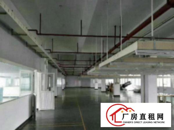  万江环城路附近现有650平方厂房招租出租