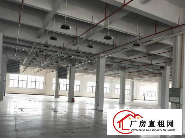  万江流涌尾工业区现有钢构单一楼厂房3700平方出租