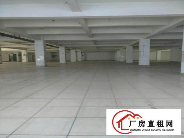  万江价格便宜地段好花园式厂房分租一楼1000平方出租