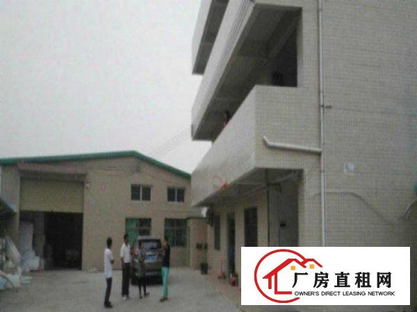  万江周边独门独院单1200平方急租,水电齐全8米高，形象好