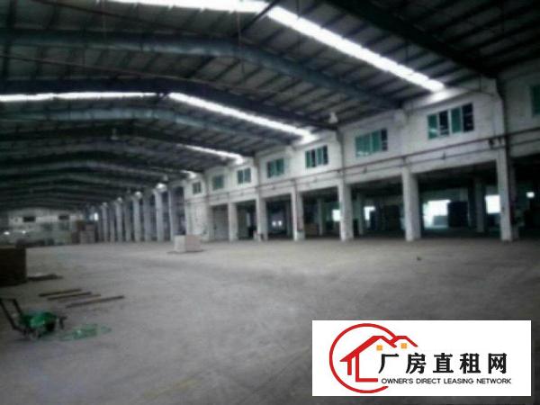  万江周边独门独院单1200平方急租,水电齐全8米高，形象好