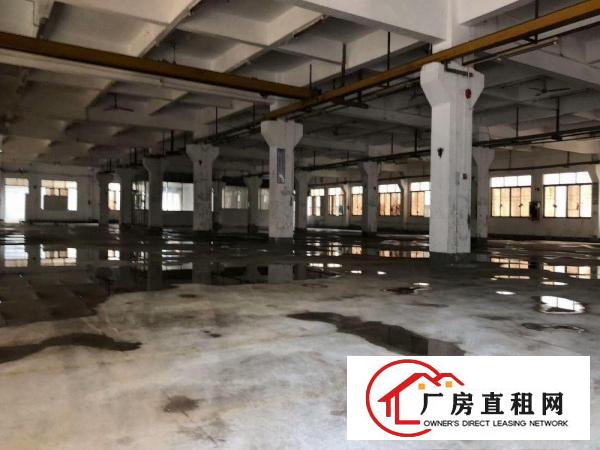  万江工业区标准1500平方出租、可分租配有2吨电梯贸易、制衣