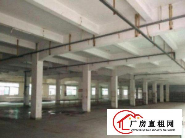  万江小亨(现成装修)标准一楼1000平方招租
