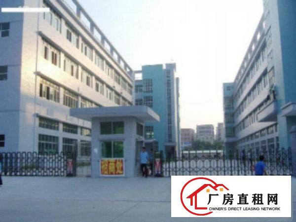 万江一楼厂房出租750平方出租采光好交通方便价格便宜