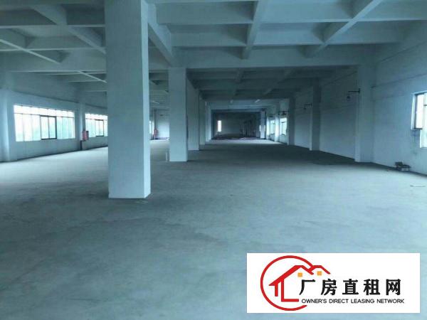  万江3400平方独院标准厂房出租250KVA独立变压器