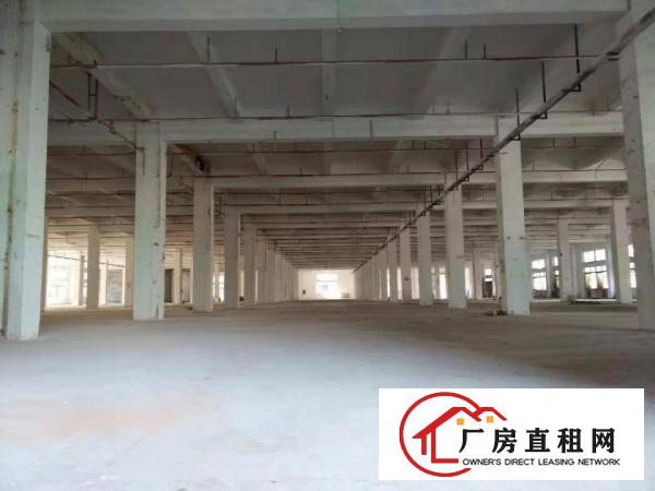 工业区标准一楼1000平方招租水电齐全
