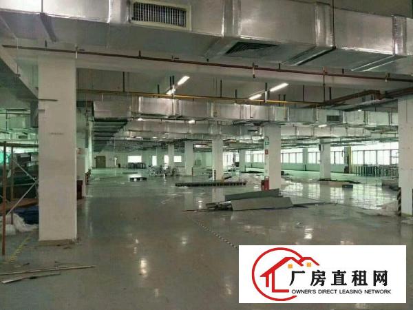  工业区标准一楼1000平方招租水电齐全