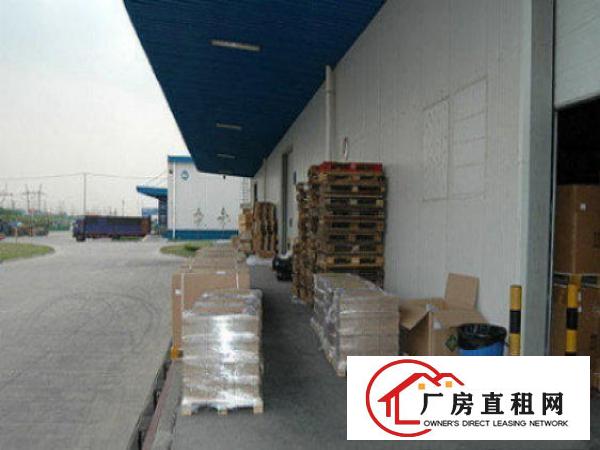  万江汽车总站附近标准物一楼单层流仓库出租大小可分租