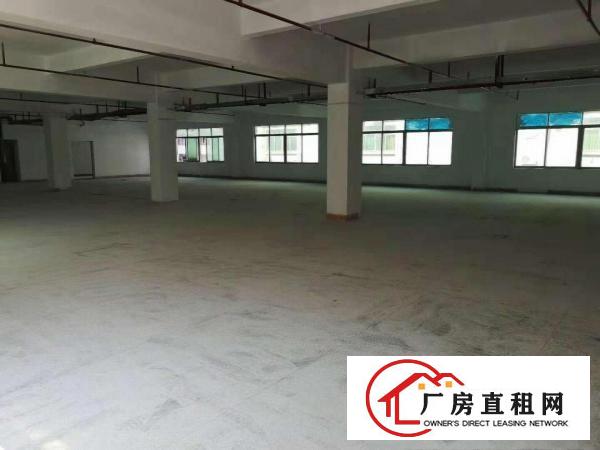  万江带现成装修标准一楼750或1000平方招租
