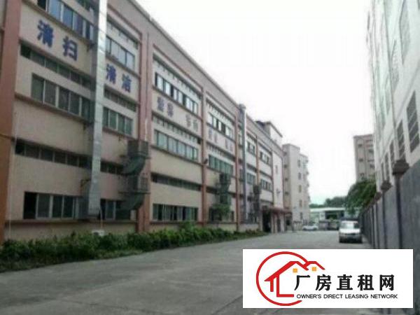 万江工业区标准一楼1000平方招租水电齐全五金塑胶等行业