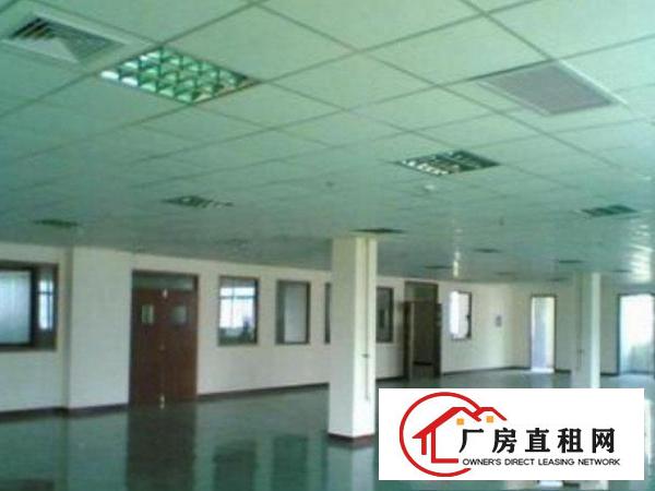  万江新出1楼570平米带装修厂房招租