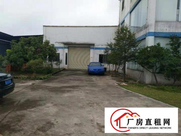  万江独院单一层厂房1800平方带现成地坪漆出租水电消防齐全