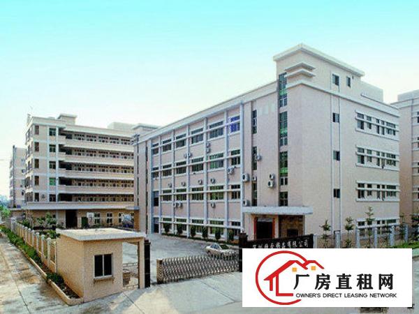  万江周边工业区新出一楼7米高2000平带豪华办公室装修