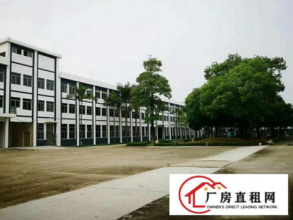 万江花园式独院标准厂房总面积45000平方出租可分租