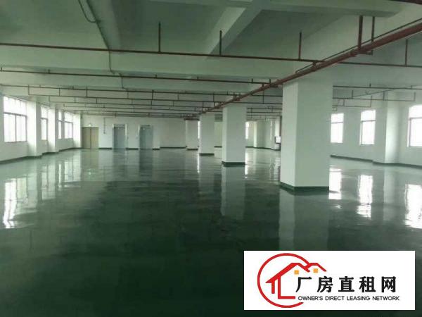  万江工业园楼上带地坪漆全新2000平方厂房招租