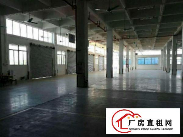  万江简沙洲港口大道边3楼4500平方厂房仓库出租轻工业生产等