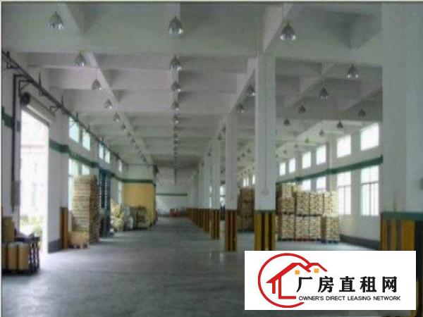  万江简沙洲港口大道边3楼4500平方厂房仓库出租轻工业生产等