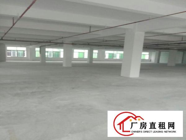  万江花园式厂房分租一楼900平方,价格便宜地段好
