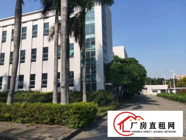  万江标准一楼厂房700平米低价招租成熟工业区,位置好,交能便