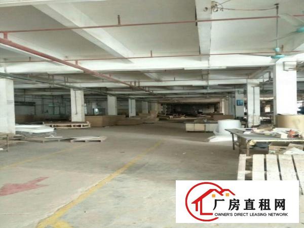  万江标准一楼厂房700平米低价招租成熟工业区,位置好,交能便