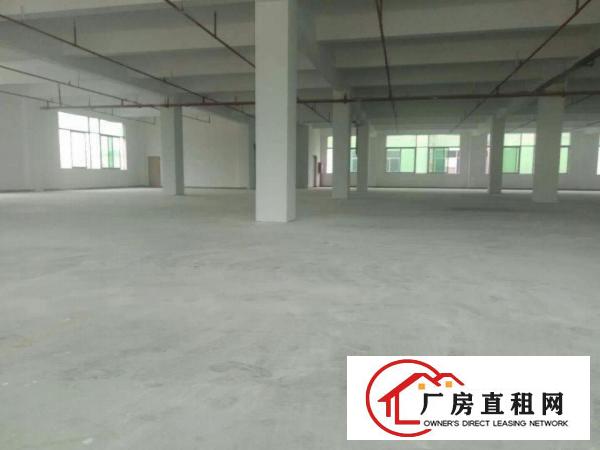  配套齐全，交通便万江工业园标准一楼1600平方厂房，仓库招租