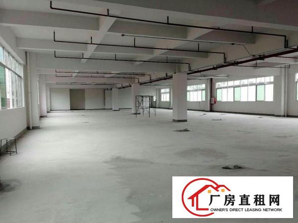  万江新出独门独院2300平方出租
