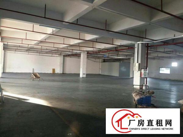  万江共联工业区新出1楼标准厂房660平方出租