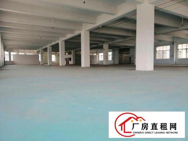  万江新空出楼上800平米楼上厂房出租可做电子贸易
