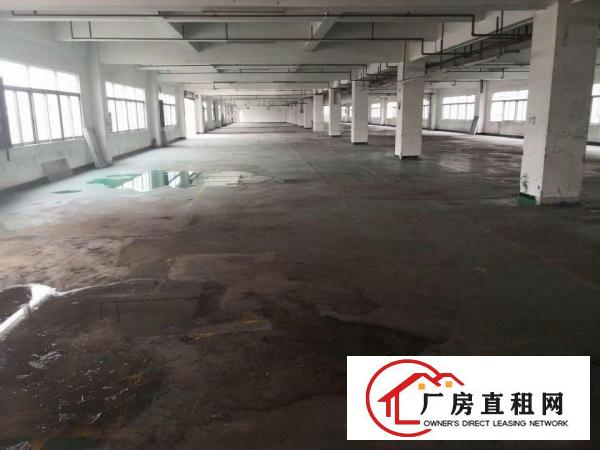  万江新空出厂房一楼1400平方精装办公室出租