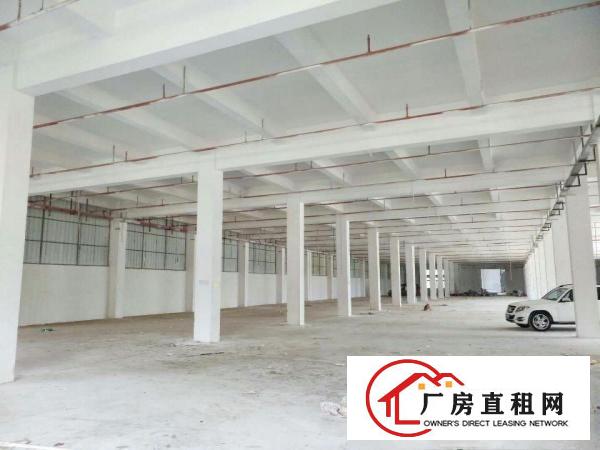  万江环城路附近临时仓库出租标准物流仓库出租大小可分租