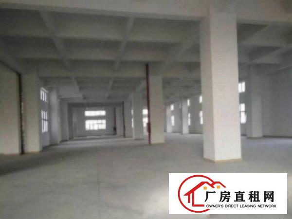  万江花园式厂房分租一楼800平方,价格便宜地段好院内有绿化