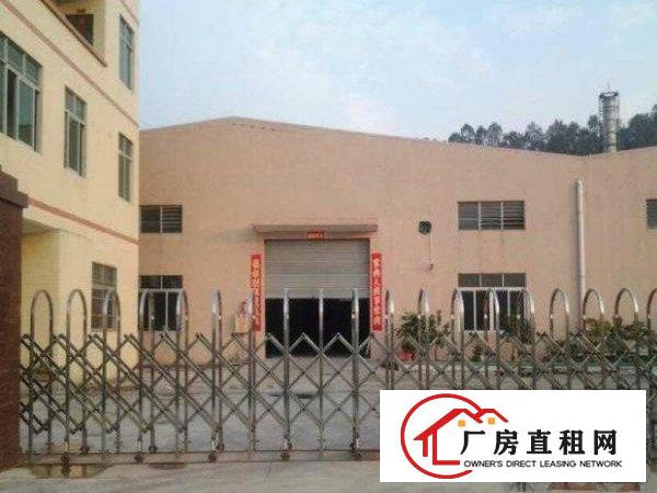  万江万江周边现有独院钢构厂房分租1000平方出租