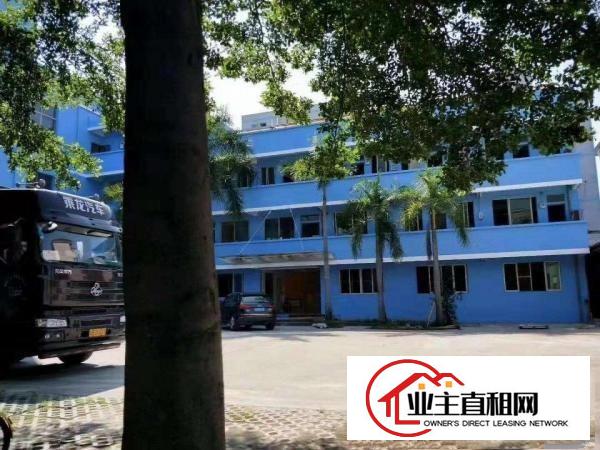  万江新出独院标准厂房1-3层8000平方出租