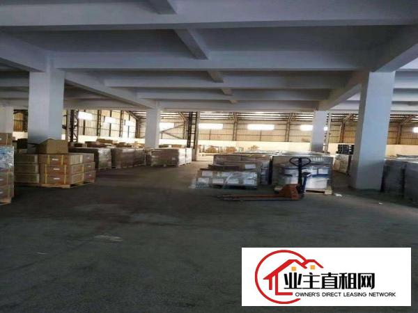  万江新出独院标准厂房1-3层8000平方出租