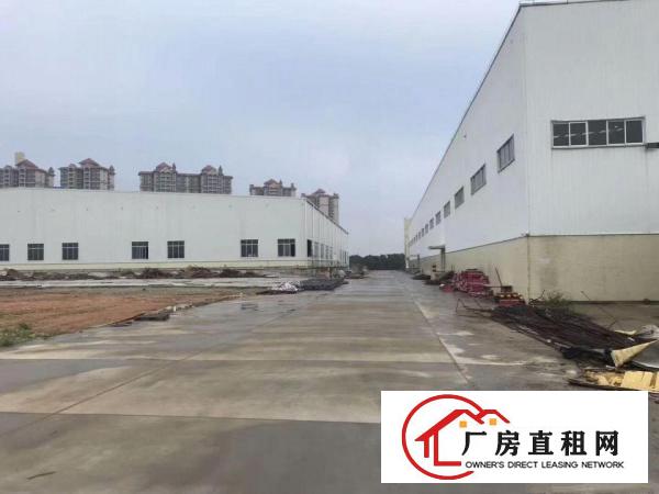  万江工业区全新单一层钢结构滴水10米1700平方厂房出租