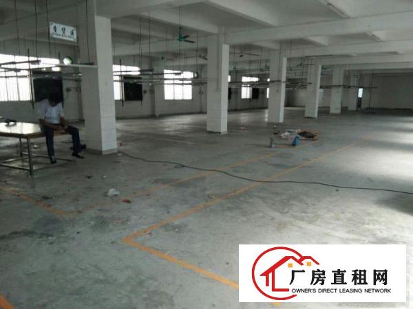  万江新出标准厂房一楼1000平方带办公室装修