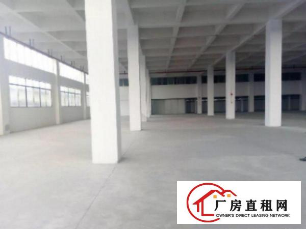  出租万江大莲塘现成行车标准1楼850平方！