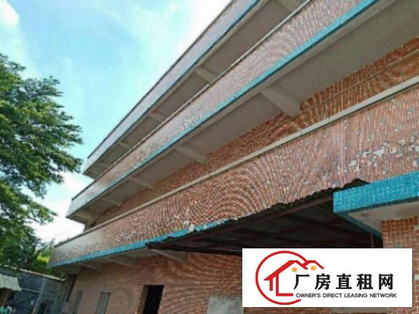  万江单一层独院1600平方招租，配套齐全、交通方便