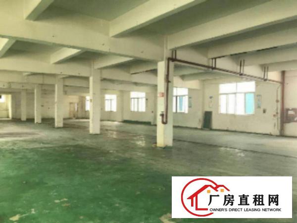  万江工业城标准厂房招租1600平方带地坪漆