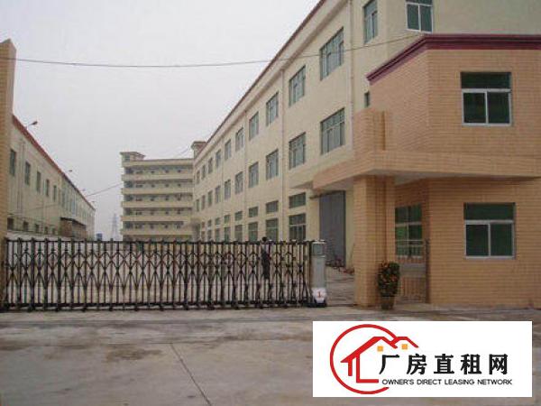  万江工业区3楼2000平米个人独院标准厂房招租形象好交通方便