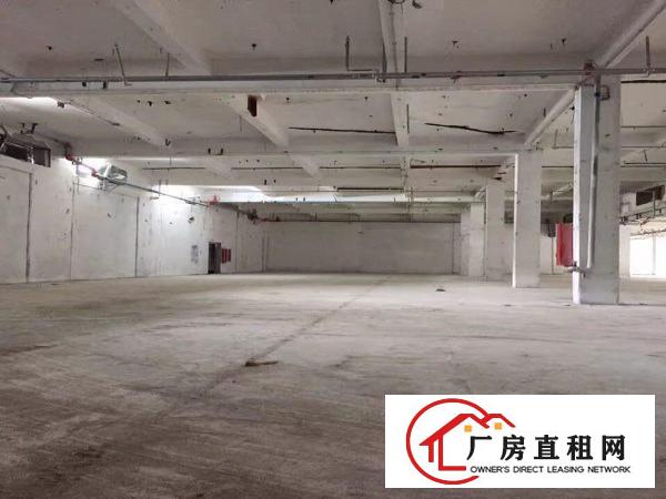  万江标准厂房分租一楼800平方招租招工方便.厂房适合做电子