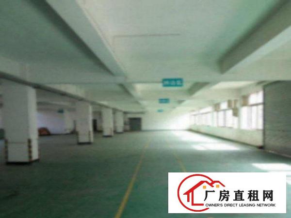  万江工业区新出标准楼房1500平米二楼厂房出租