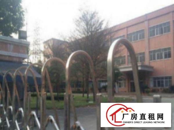  万江成熟工业园厂房分租1400平方低价招租中