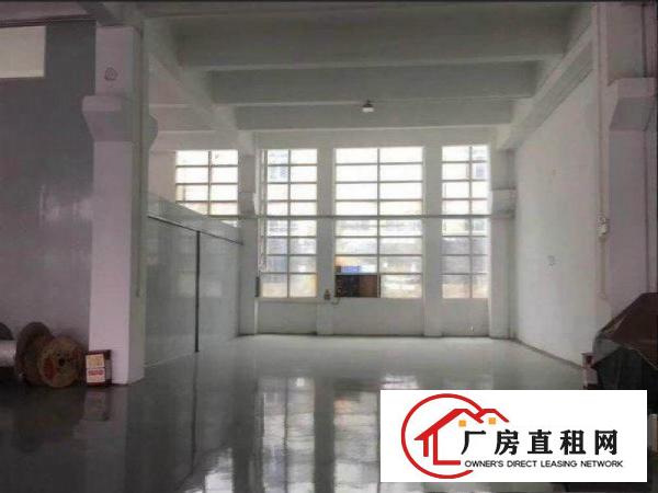  万江街道小享新出实际面积1楼高6米780平厂房出租