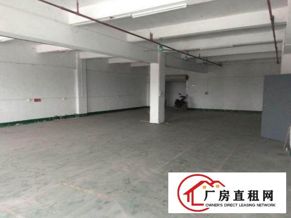  下朗分租原房东标准厂房三楼1000平方，无公摊无杂费